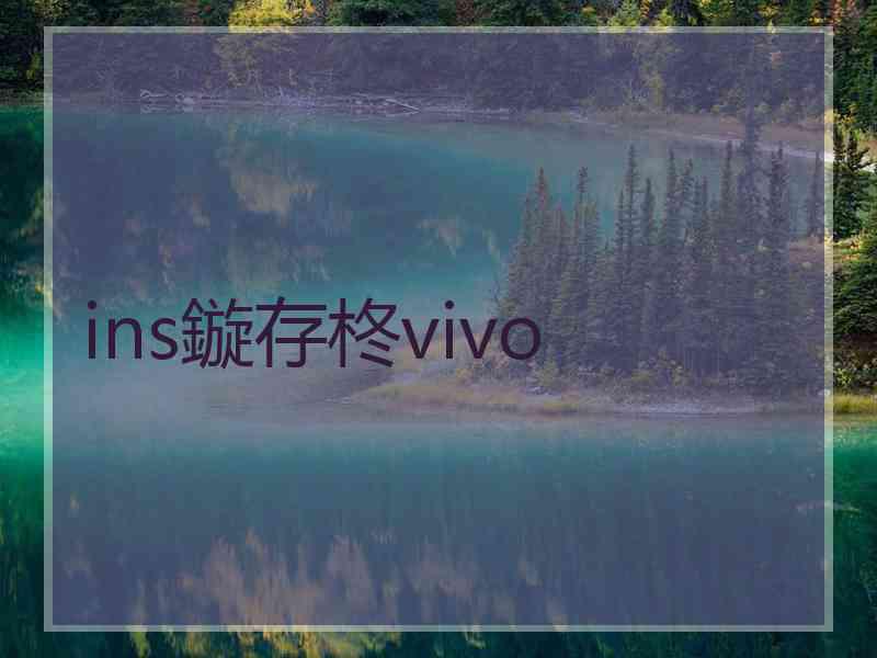 ins鏇存柊vivo