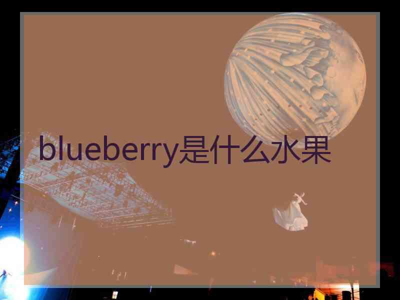 blueberry是什么水果