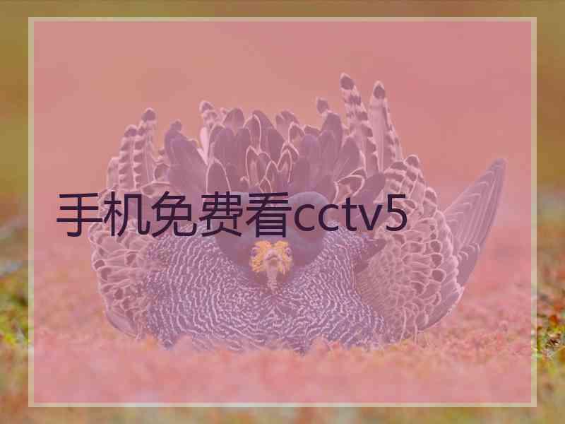 手机免费看cctv5