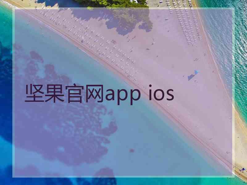 坚果官网app ios