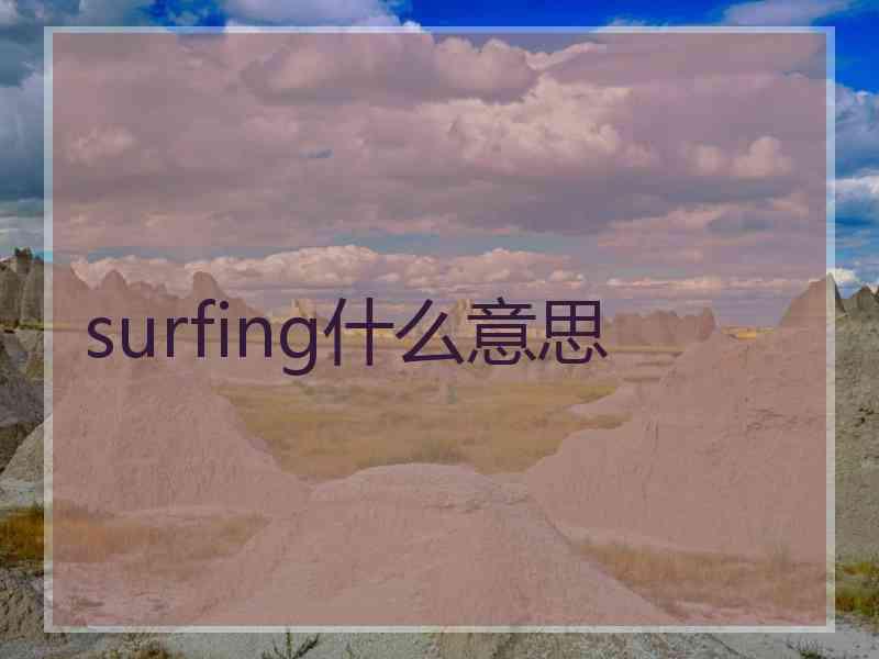 surfing什么意思