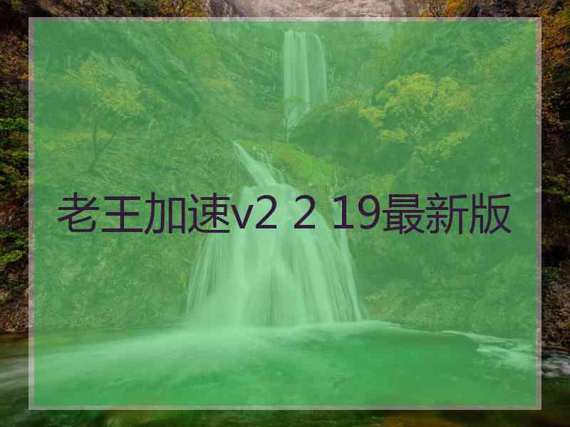 老王加速v2 2 19最新版