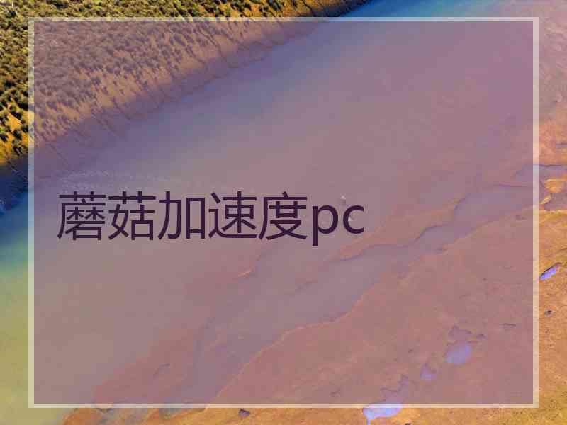 蘑菇加速度pc