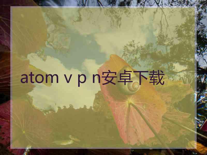 atom v p n安卓下载