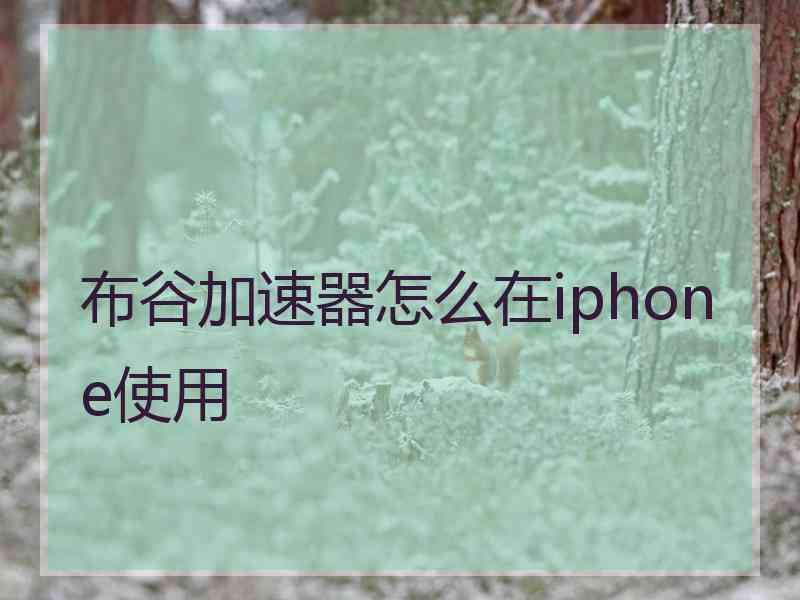 布谷加速器怎么在iphone使用