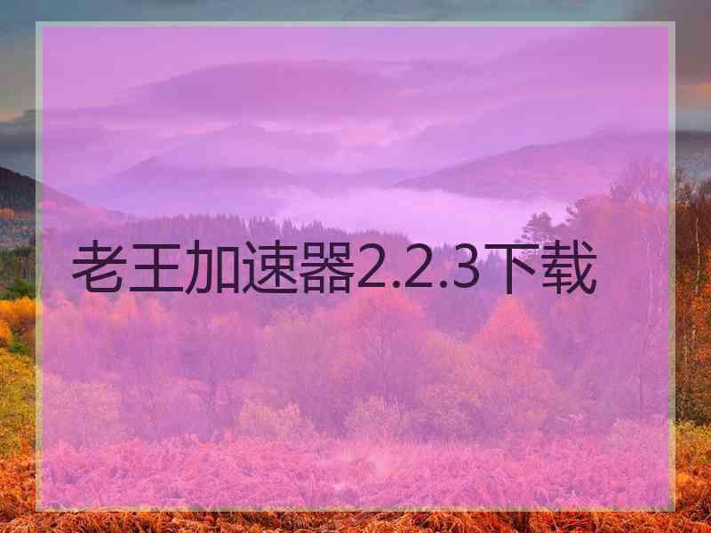 老王加速器2.2.3下载