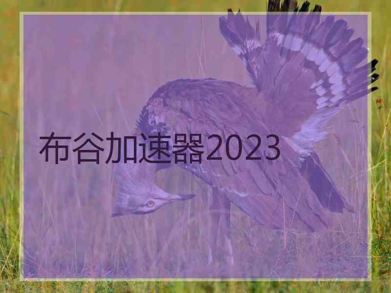 布谷加速器2023