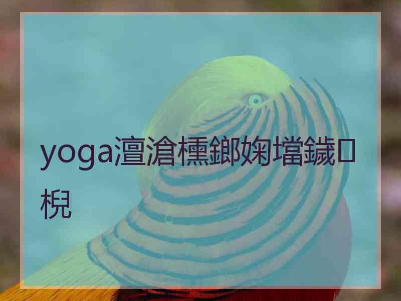 yoga澶滄櫄鎯婅壋鐬棿