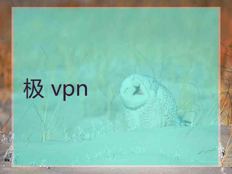 极 vpn