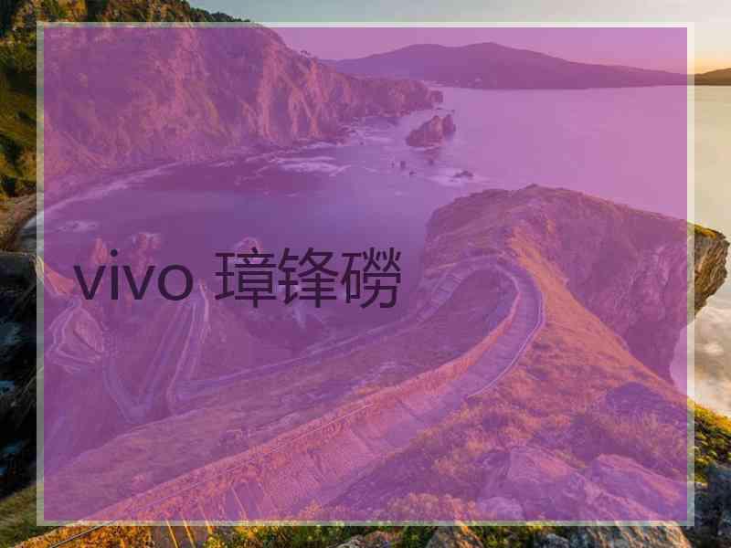 vivo 璋锋磱