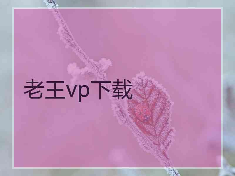 老王vp下载