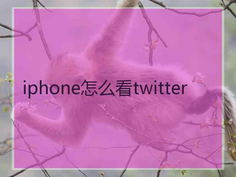 iphone怎么看twitter