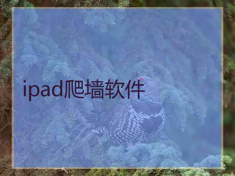 ipad爬墙软件