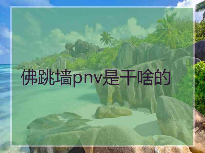 佛跳墙pnv是干啥的