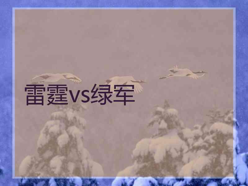 雷霆vs绿军