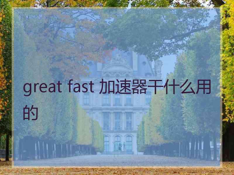 great fast 加速器干什么用的