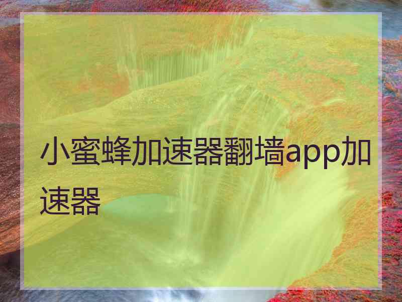 小蜜蜂加速器翻墙app加速器