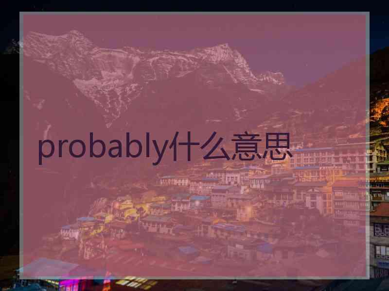 probably什么意思