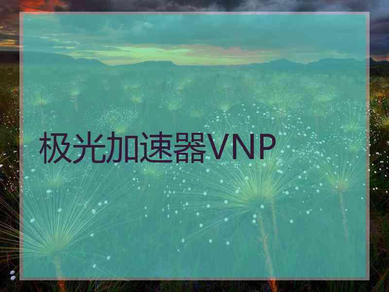 极光加速器VNP