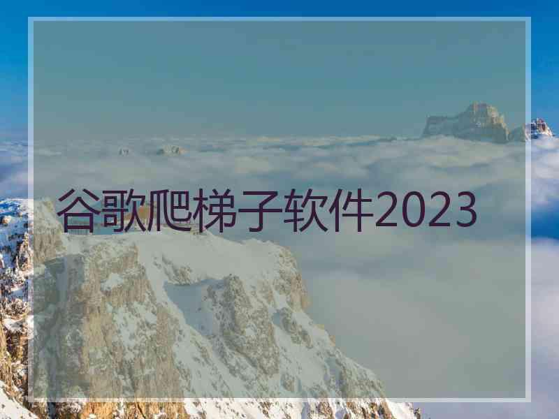 谷歌爬梯子软件2023