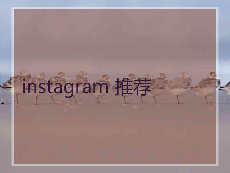 instagram 推荐