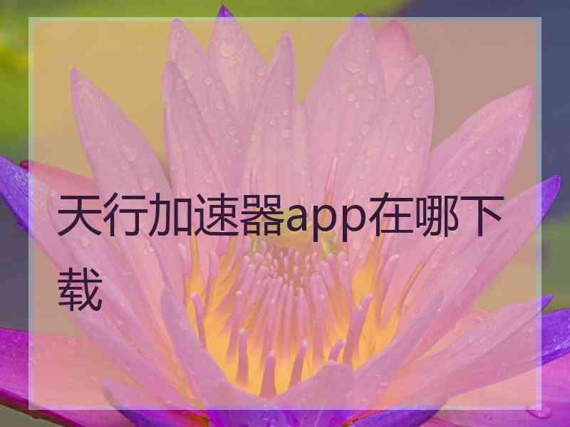 天行加速器app在哪下载