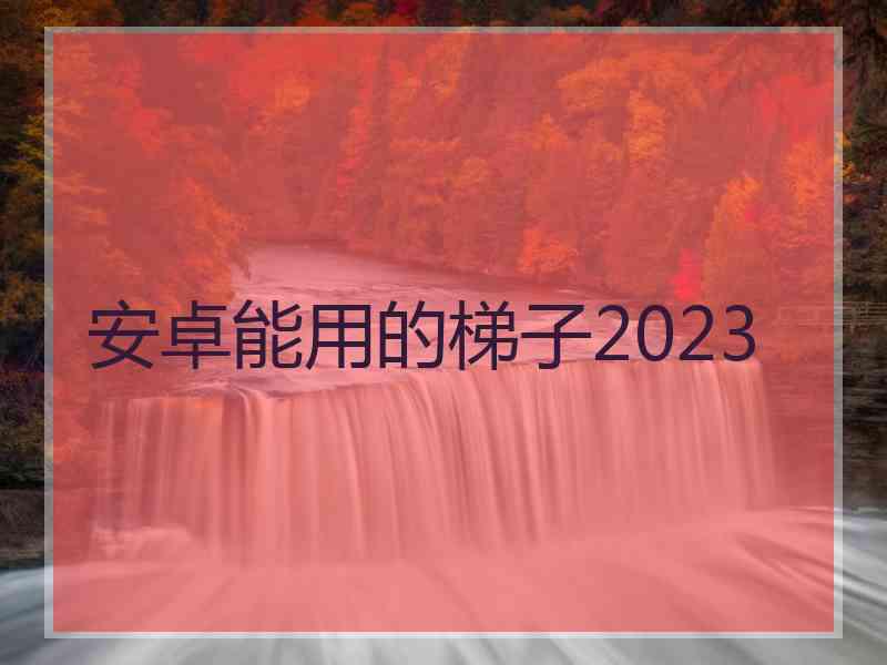 安卓能用的梯子2023