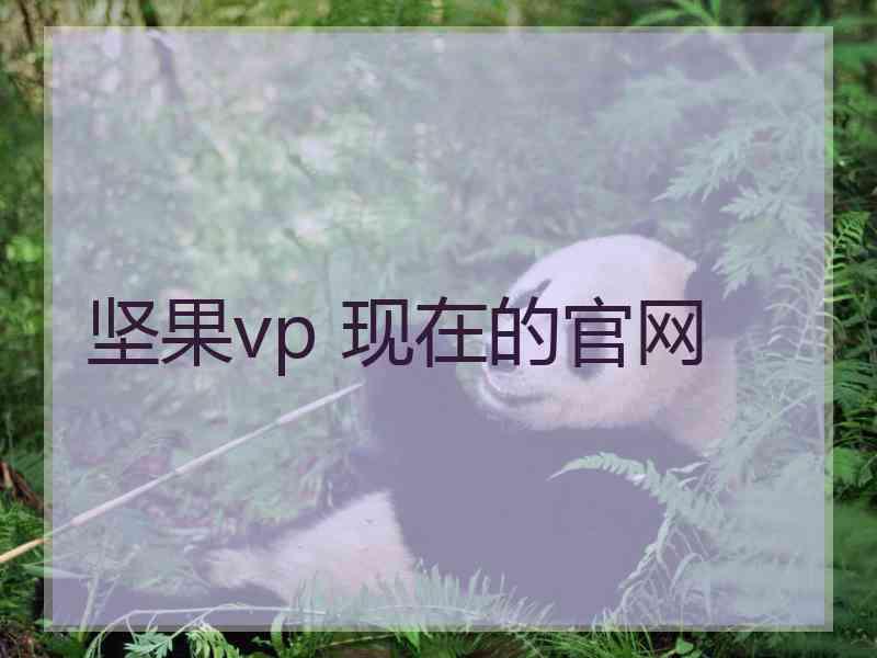 坚果vp 现在的官网