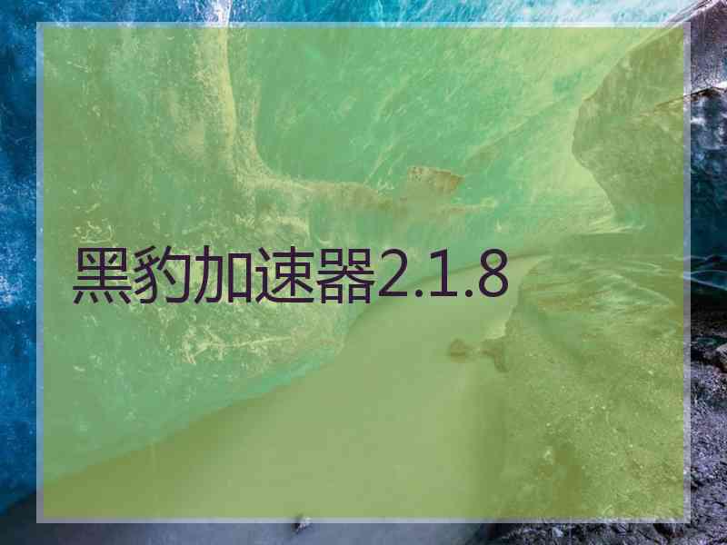 黑豹加速器2.1.8