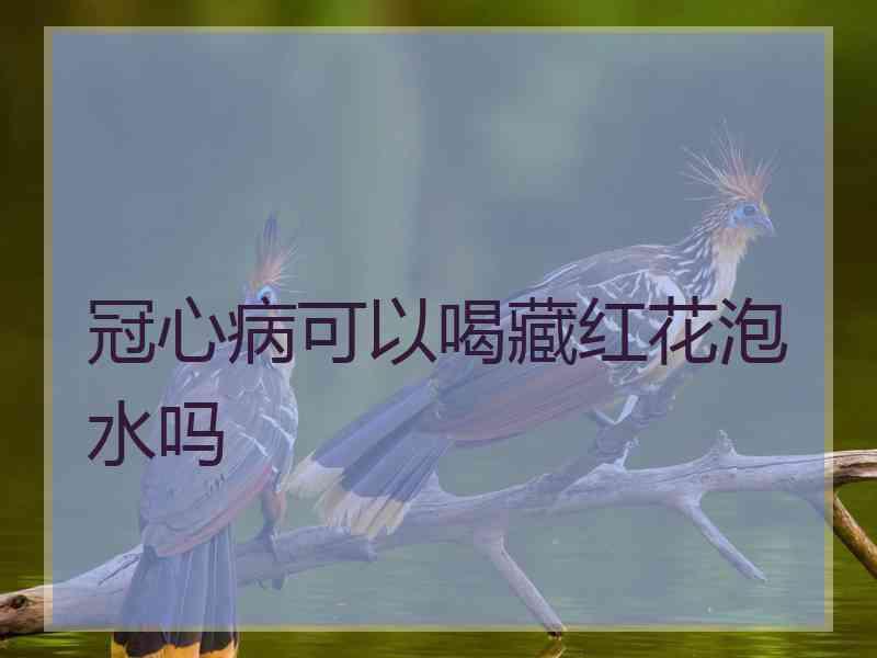 冠心病可以喝藏红花泡水吗