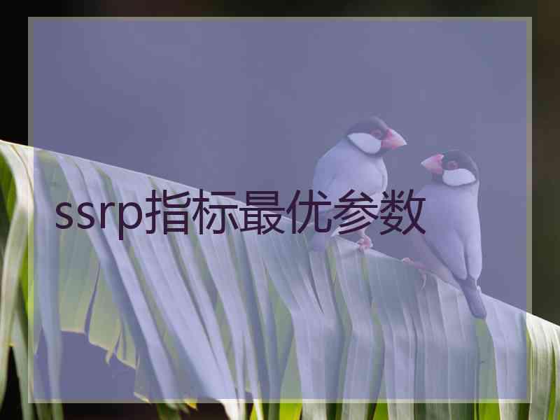 ssrp指标最优参数