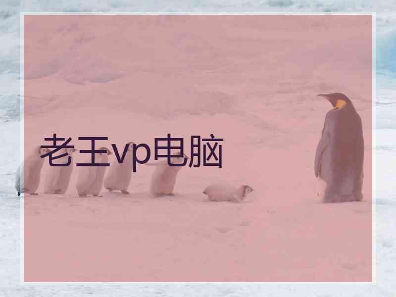 老王vp电脑