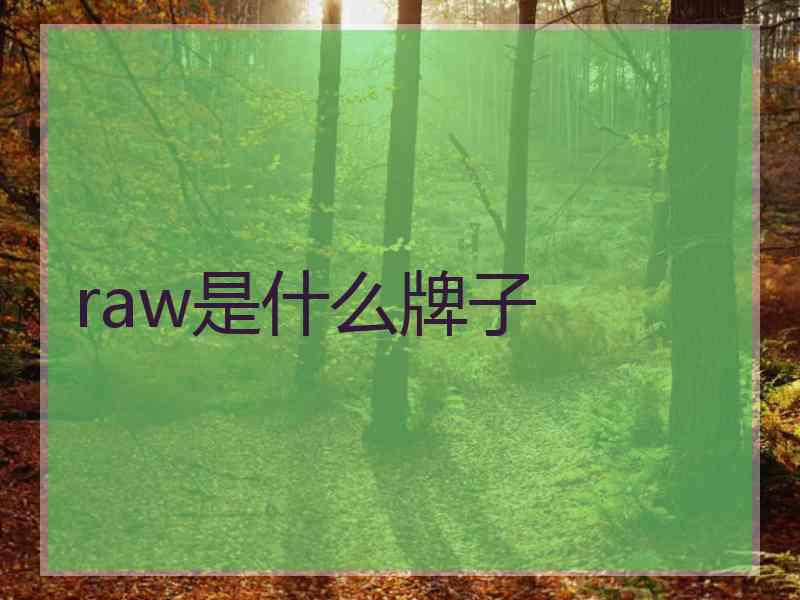 raw是什么牌子