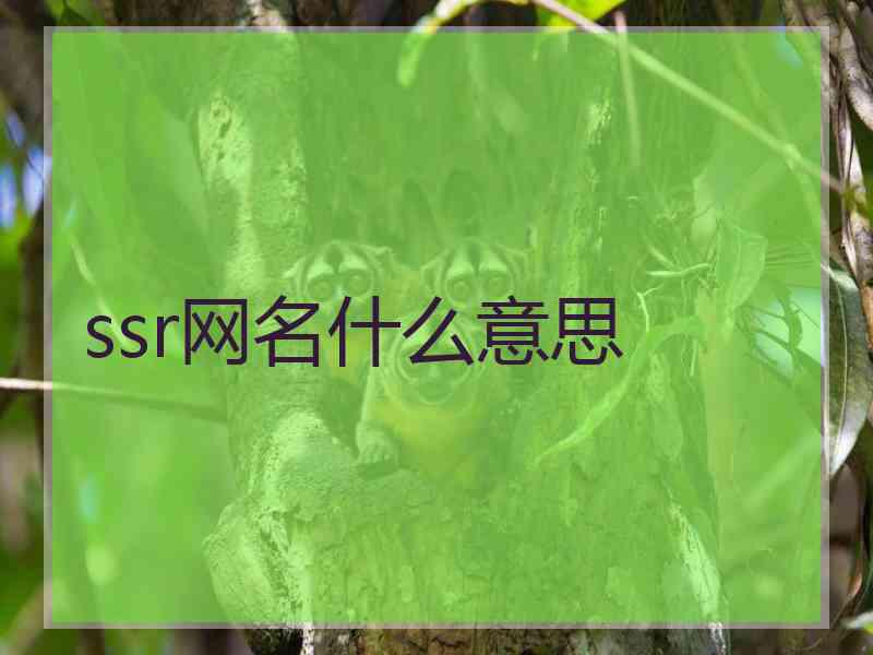 ssr网名什么意思