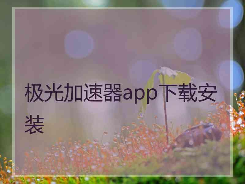 极光加速器app下载安装