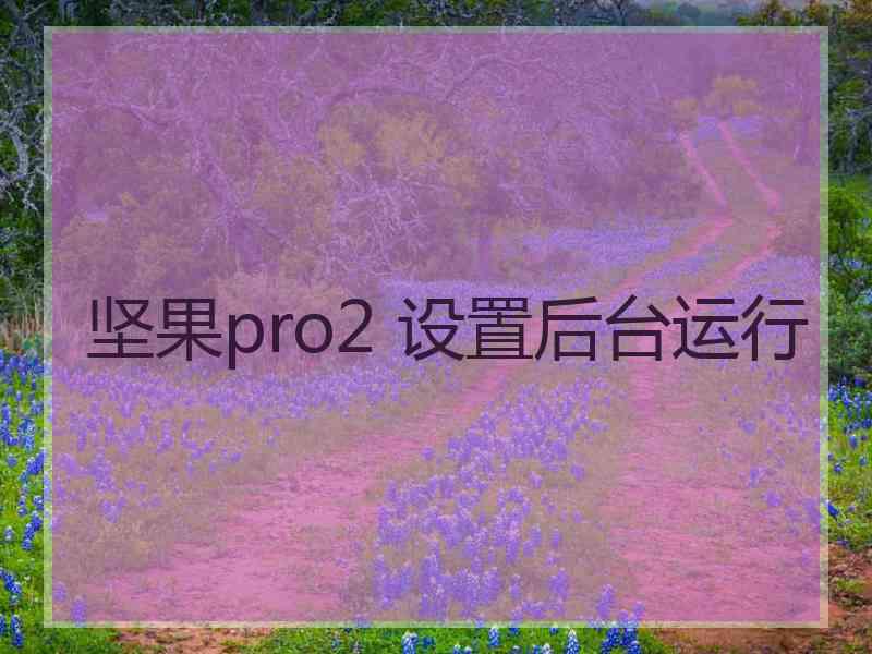 坚果pro2 设置后台运行