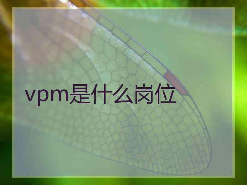 vpm是什么岗位