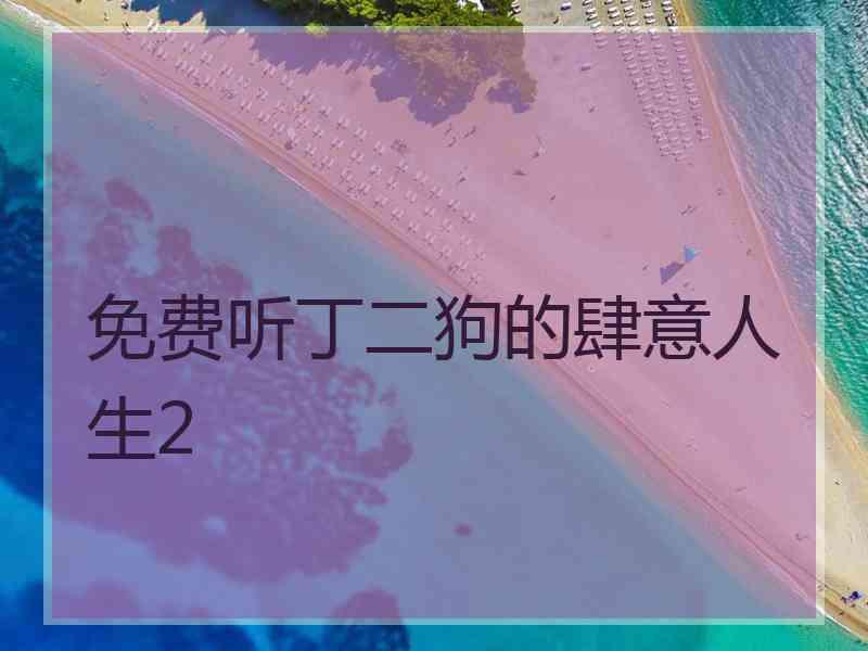 免费听丁二狗的肆意人生2