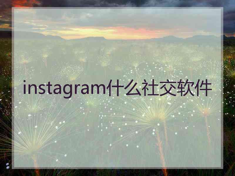 instagram什么社交软件