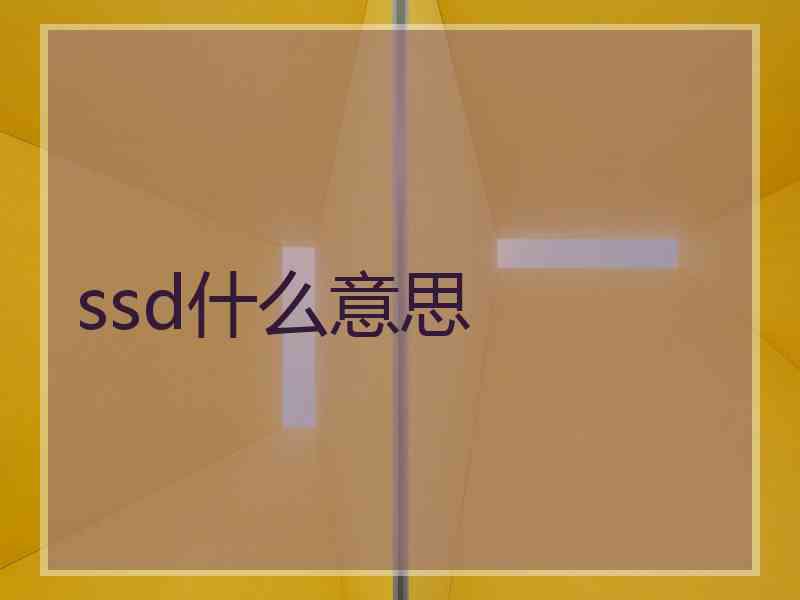 ssd什么意思