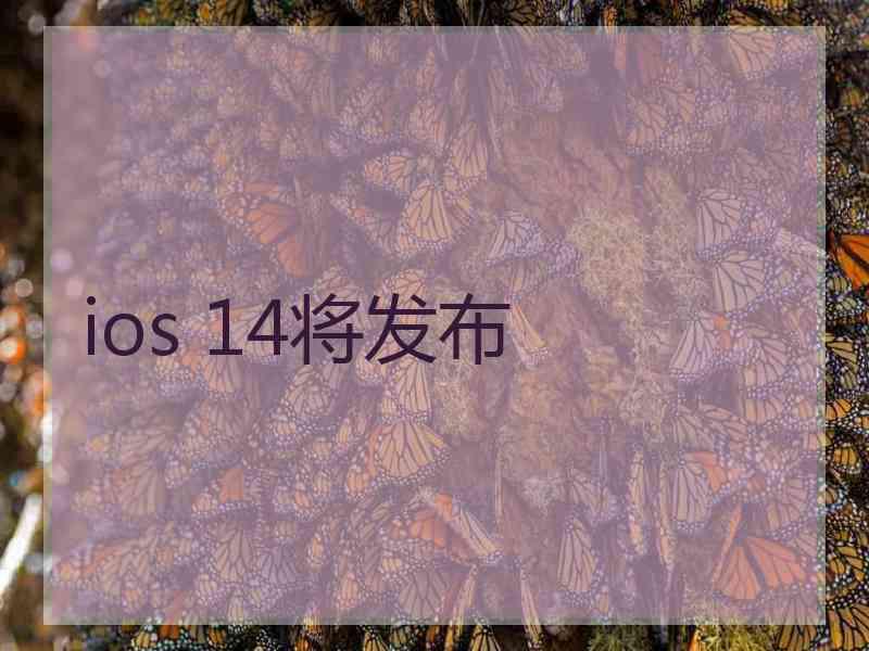 ios 14将发布