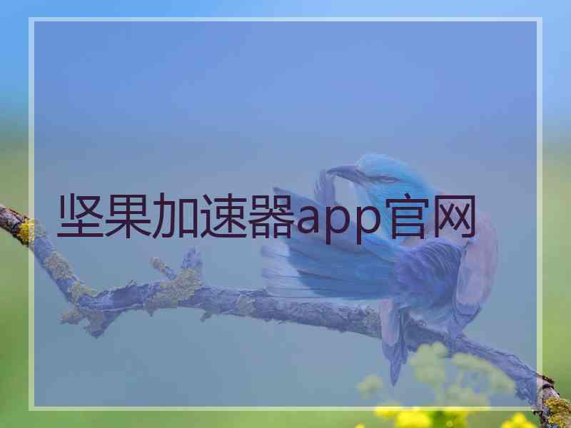 坚果加速器app官网