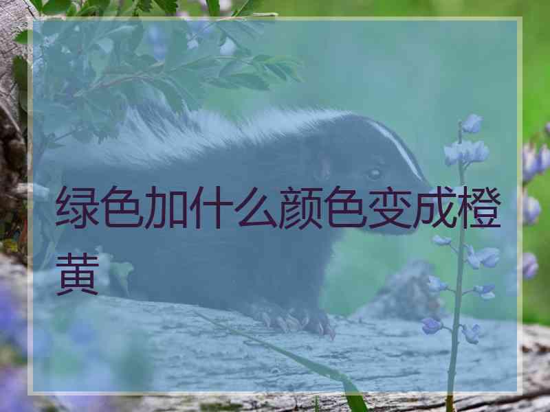 绿色加什么颜色变成橙黄