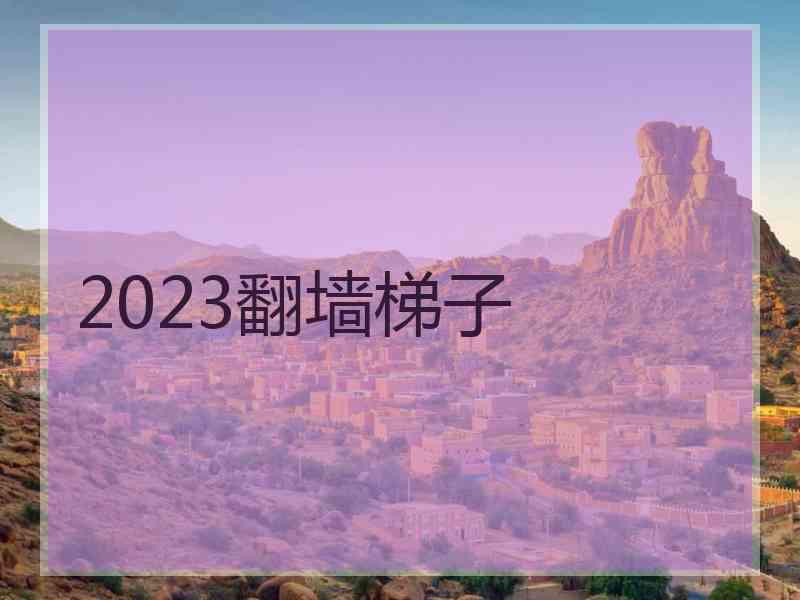 2023翻墙梯子