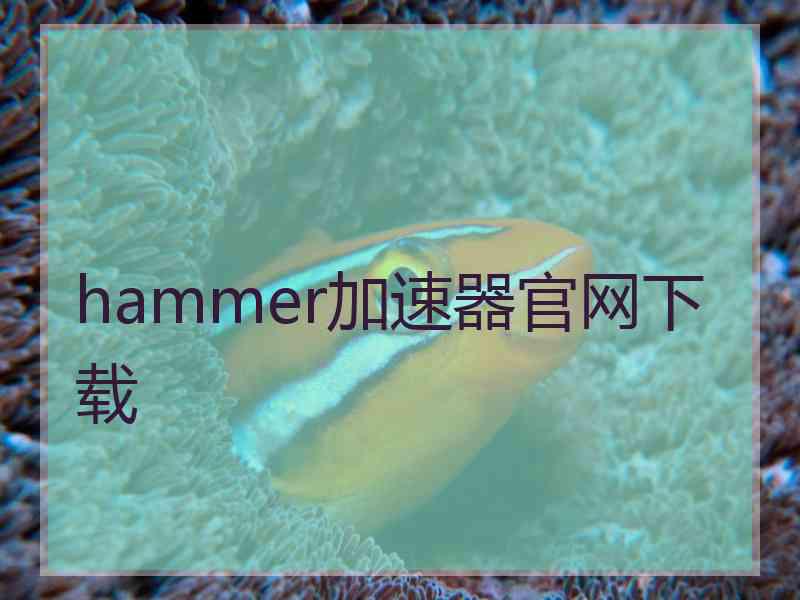 hammer加速器官网下载