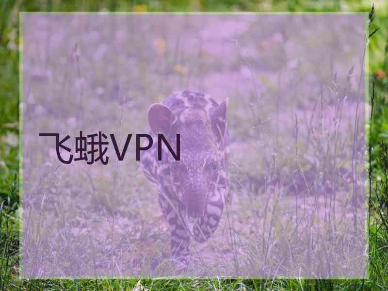 飞蛾VPN