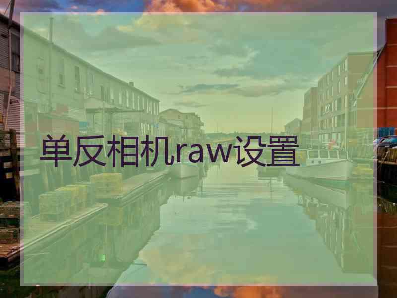 单反相机raw设置