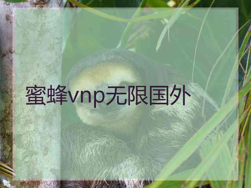 蜜蜂vnp无限国外