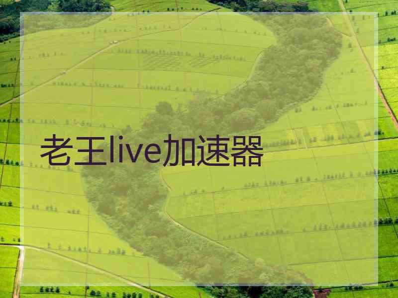 老王live加速器