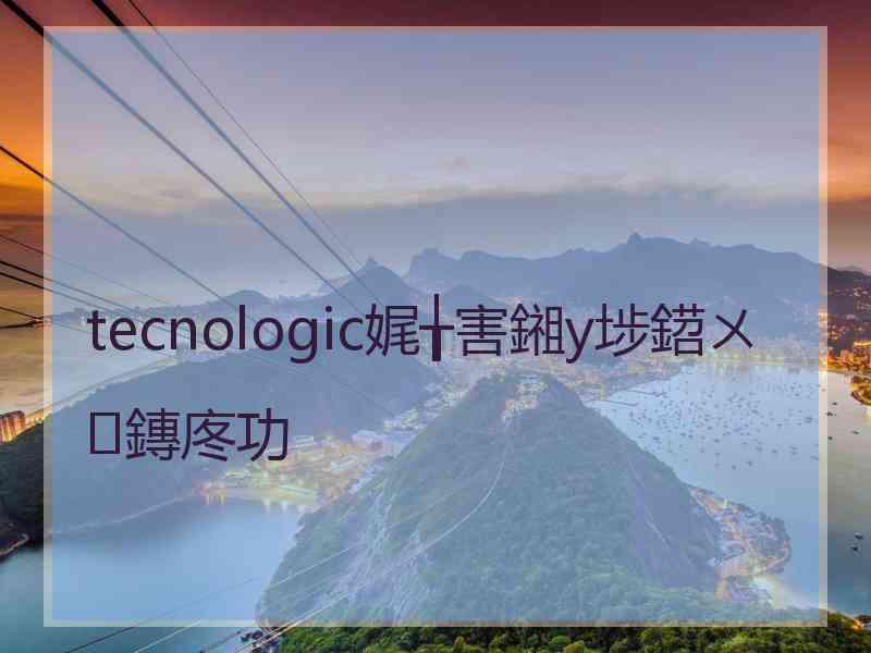 tecnologic娓╁害鎺у埗鍣ㄨ鏄庝功